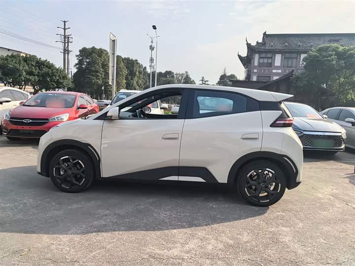 Фото 5 - BYD Seagull