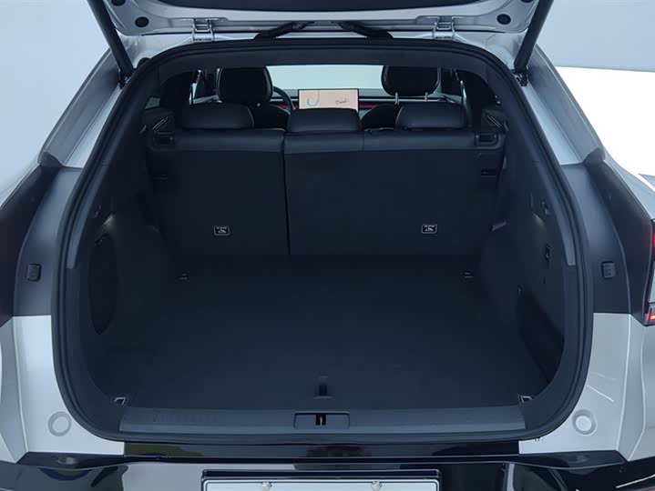 Фото 4 - XPeng G7