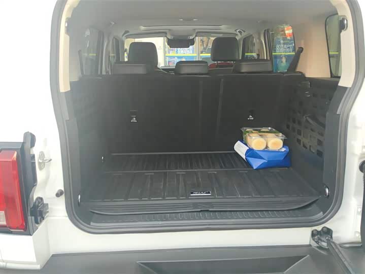 Фото 4 - Tank 300