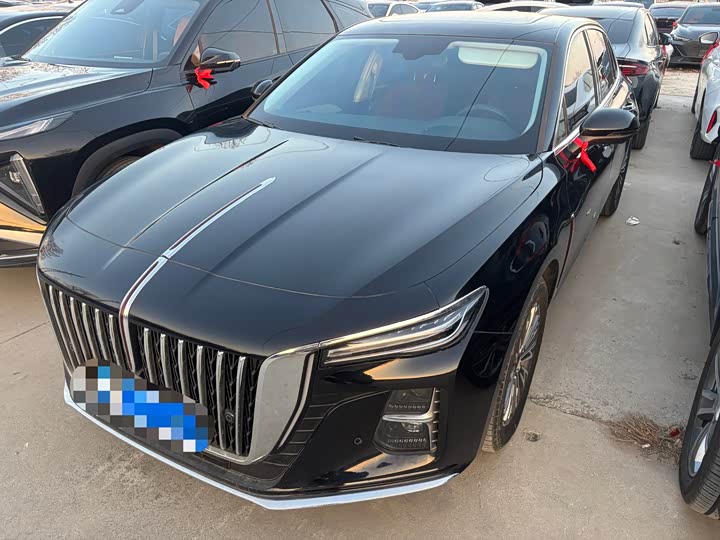 Фото 1 - Hongqi H5