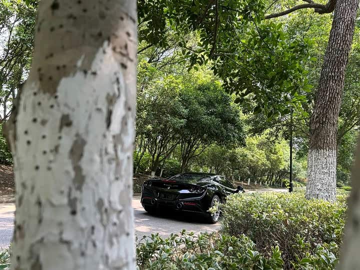 Фото 8 - Ferrari F8