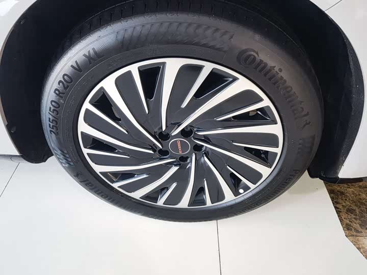 Фото 9 - Exeed Sterra ET