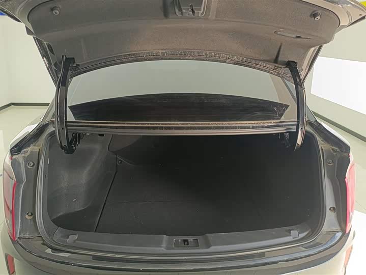 Фото 4 - Hongqi E-QM5