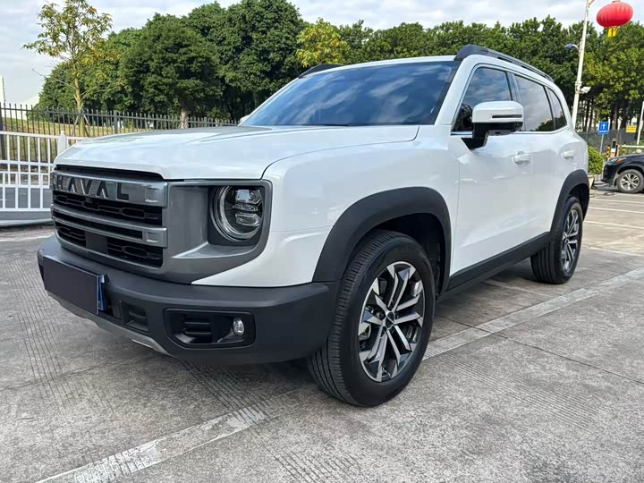 Фото 1 - Haval Dargo