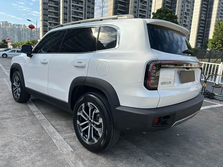 Фото 7 - Haval Dargo