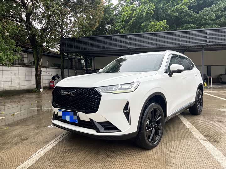Фото 1 - Haval H6
