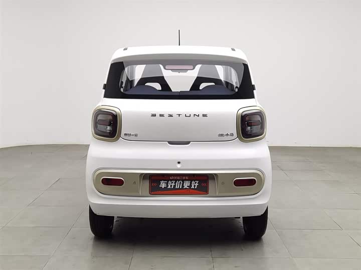 Фото 4 - Bestune Pony