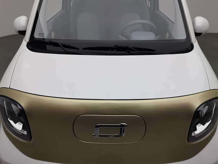 Фото 6 - Bestune Pony