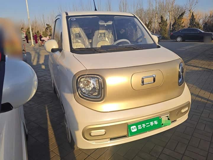 Фото 4 - Bestune Pony