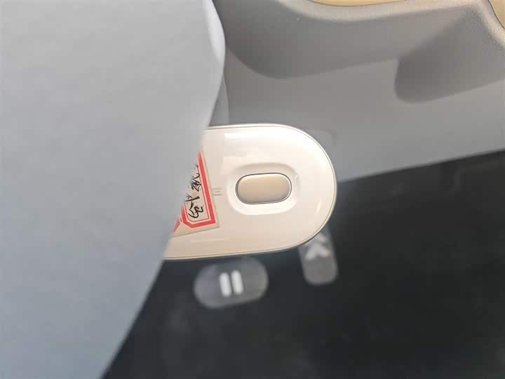 Фото 9 - Bestune Pony