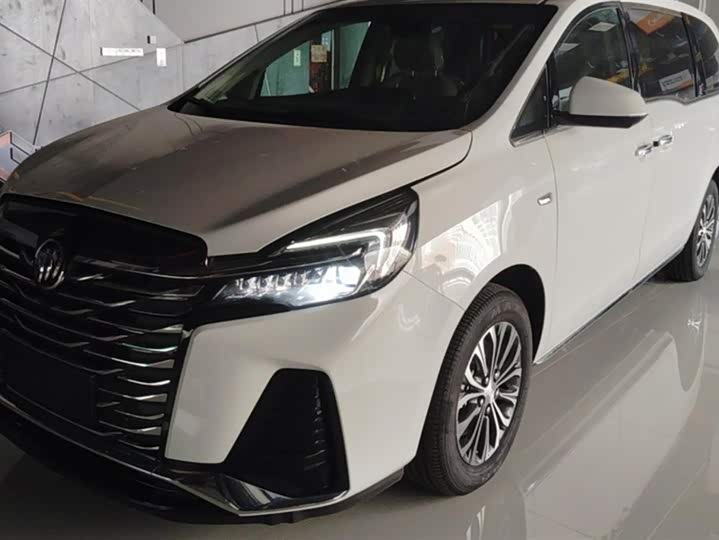 Фото 1 - Buick GL8 ES