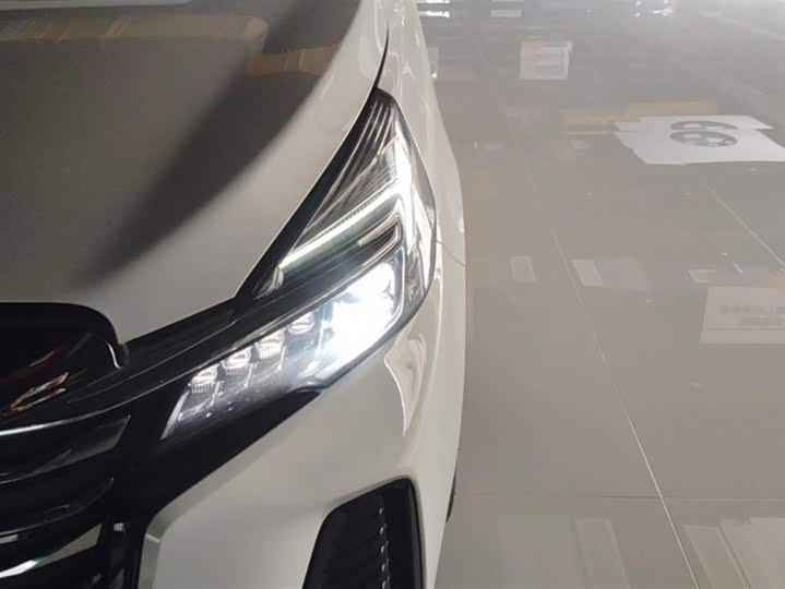 Фото 5 - Buick GL8 ES