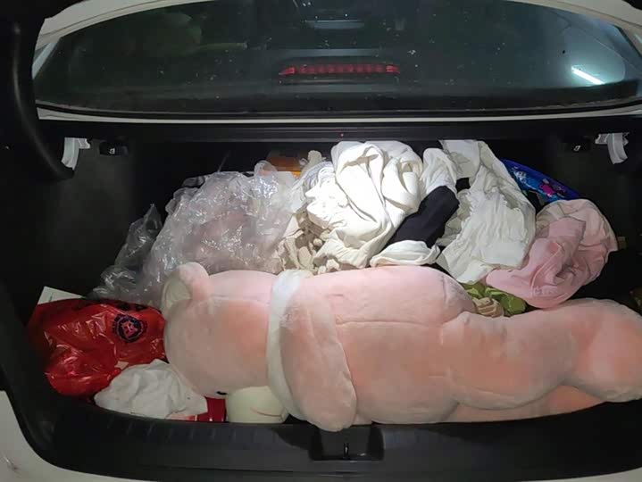 Фото 4 - Honda Integra