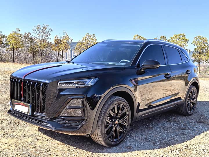 Фото 1 - Hongqi HS5