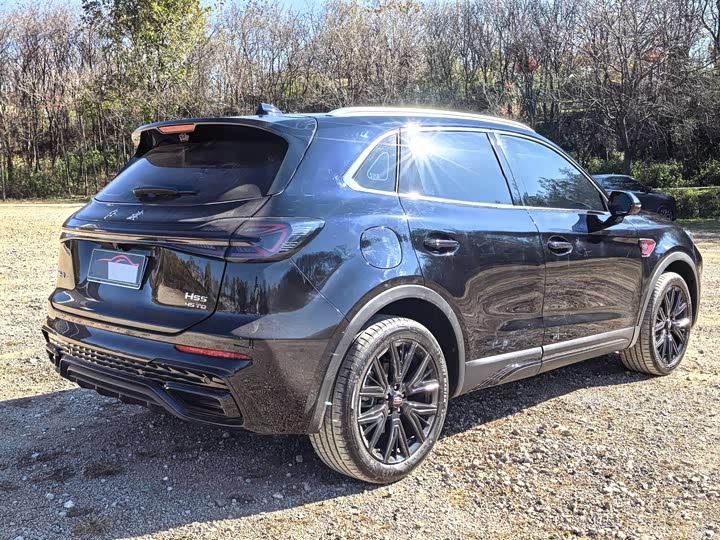 Фото 8 - Hongqi HS5