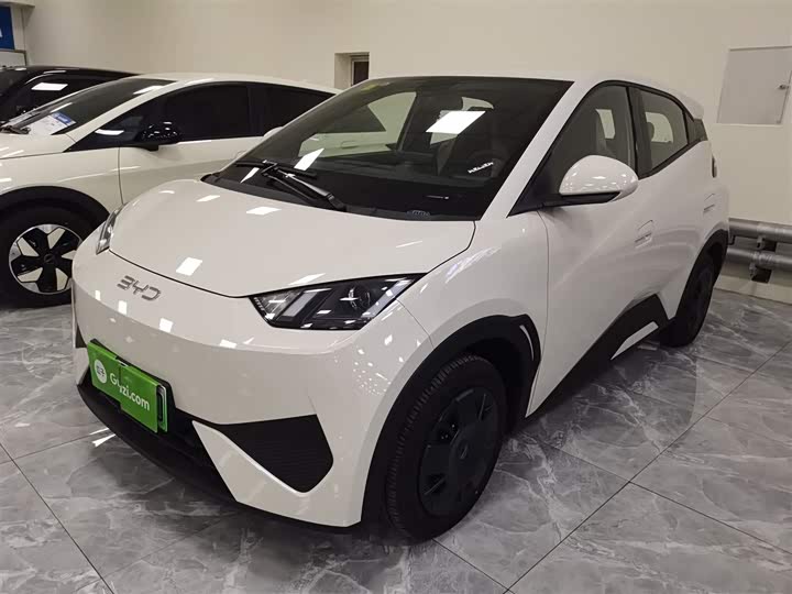 Фото 1 - BYD Seagull