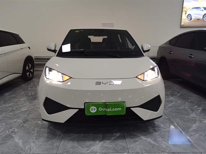 Фото 3 - BYD Seagull