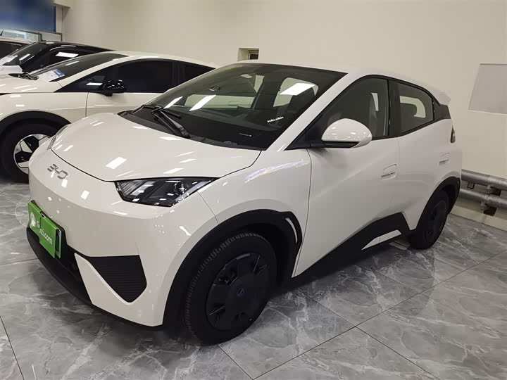 Фото 5 - BYD Seagull