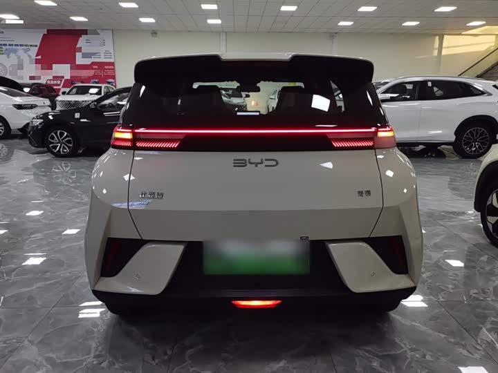 Фото 6 - BYD Seagull