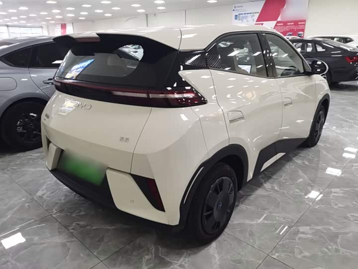 Фото 7 - BYD Seagull