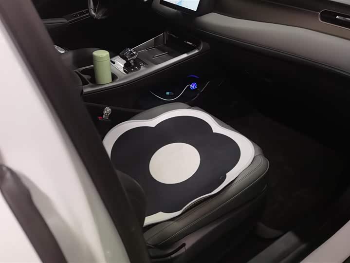 Фото 8 - BYD Qin Plus