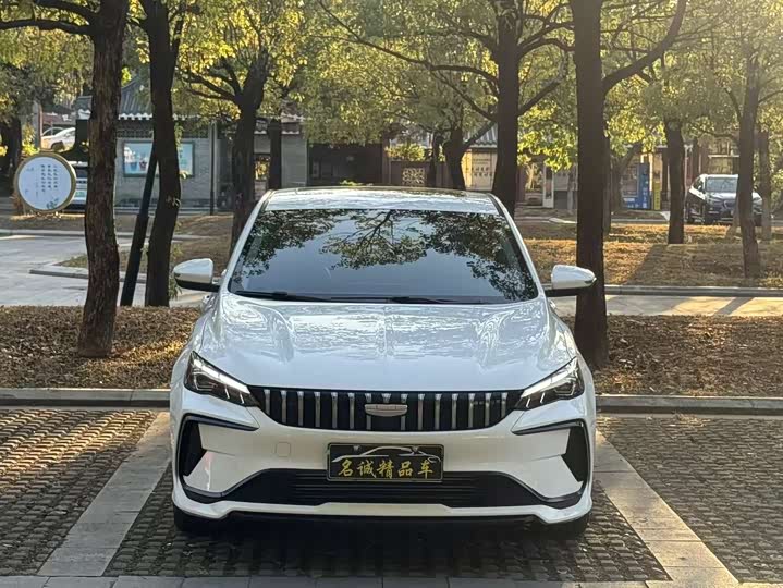Фото 2 - Geely Binrui