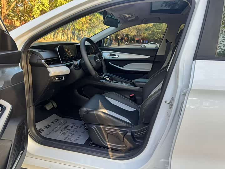 Фото 4 - Geely Binrui