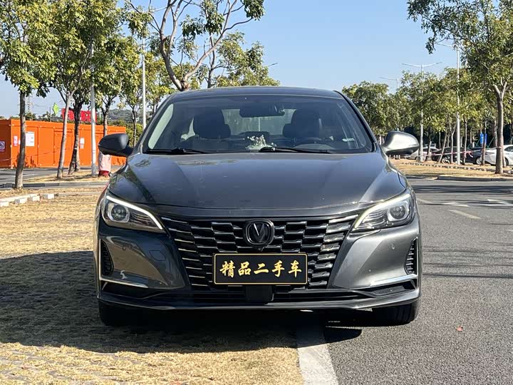 Фото 2 - Changan Raeton CC