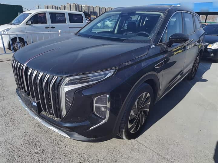 Фото 2 - Hongqi HS7 Hybrid