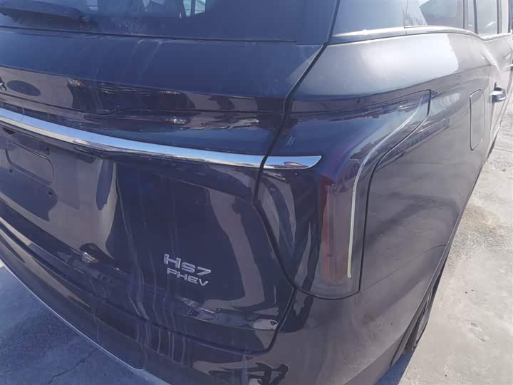 Фото 8 - Hongqi HS7 Hybrid