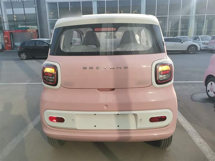 Фото 6 - Bestune Pony