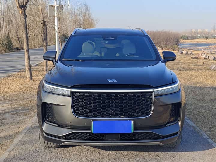 Фото 2 - LiXiang One