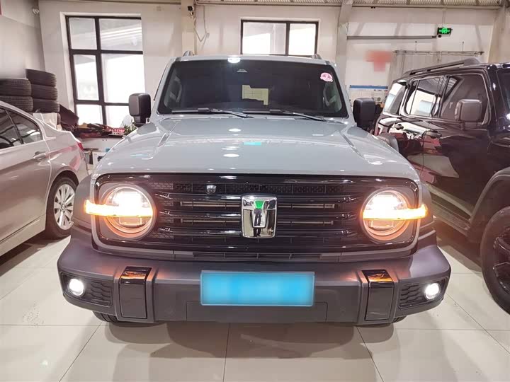 Фото 3 - Tank 300