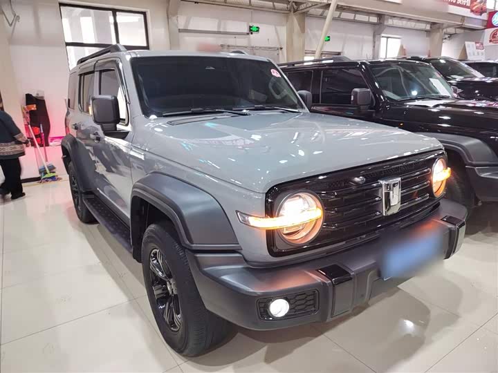 Фото 4 - Tank 300