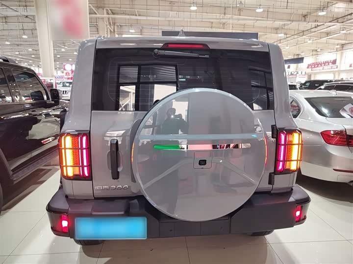 Фото 6 - Tank 300