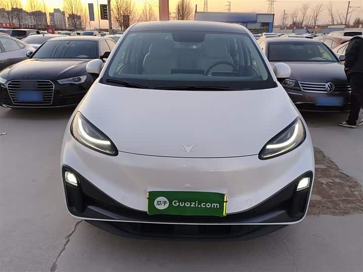 Фото 3 - BAIC Arcfox Kaola S