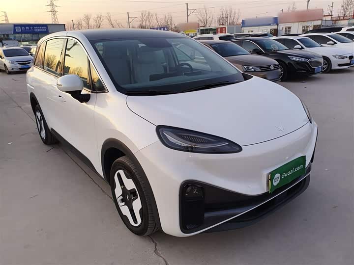 Фото 4 - BAIC Arcfox Kaola S
