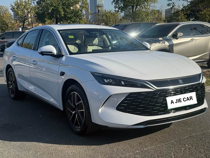 Фото 3 - BYD Qin L