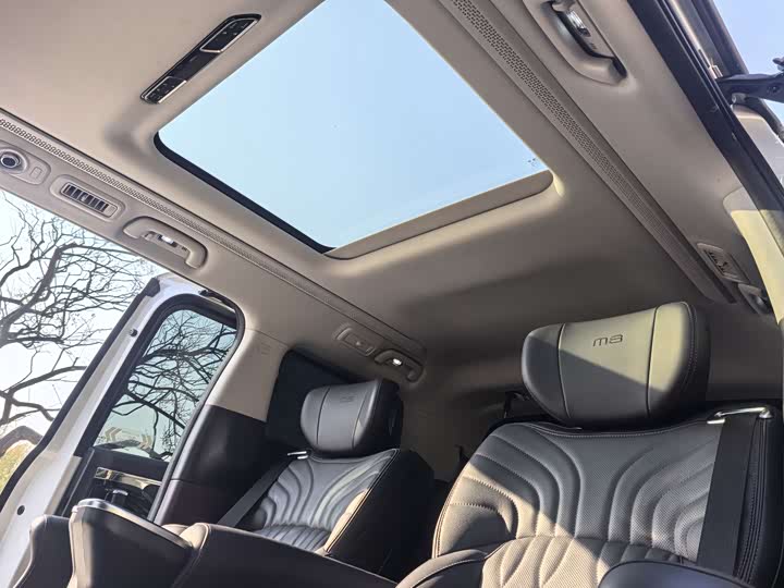 Фото 7 - GAC Trumpchi M8