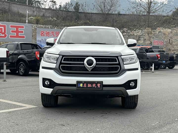 Фото 3 - Great Wall Pao