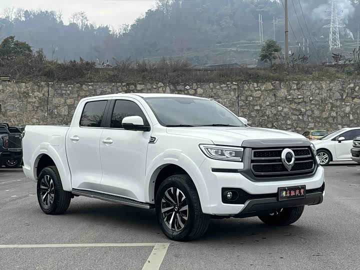 Фото 6 - Great Wall Pao