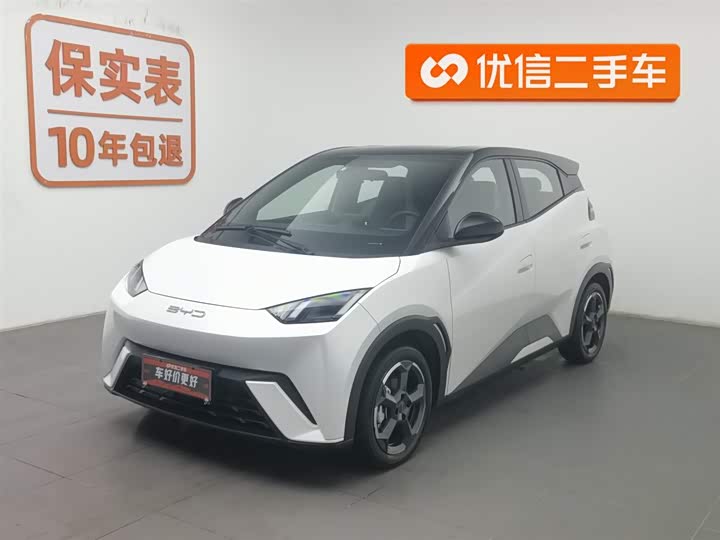 Фото 1 - BYD Seagull