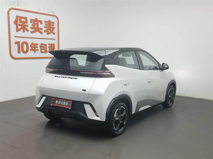 Фото 2 - BYD Seagull