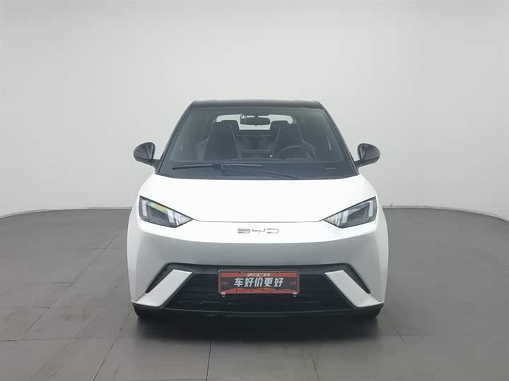 Фото 3 - BYD Seagull