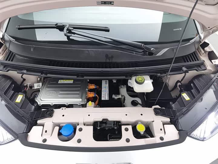 Фото 6 - BYD Seagull