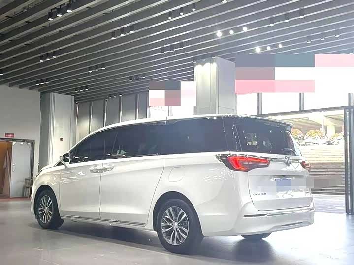 Фото 4 - Buick GL8 ES