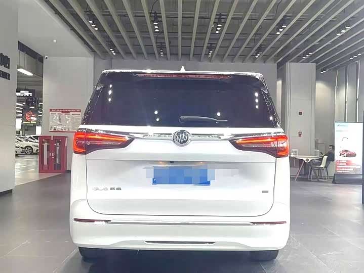 Фото 5 - Buick GL8 ES