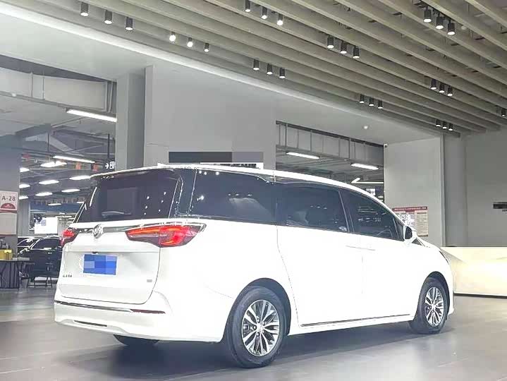 Фото 6 - Buick GL8 ES