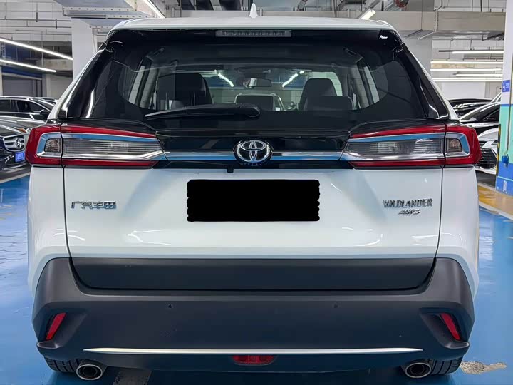 Фото 8 - Toyota Wildlander