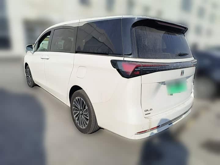 Фото 9 - Buick GL8 Hybrid